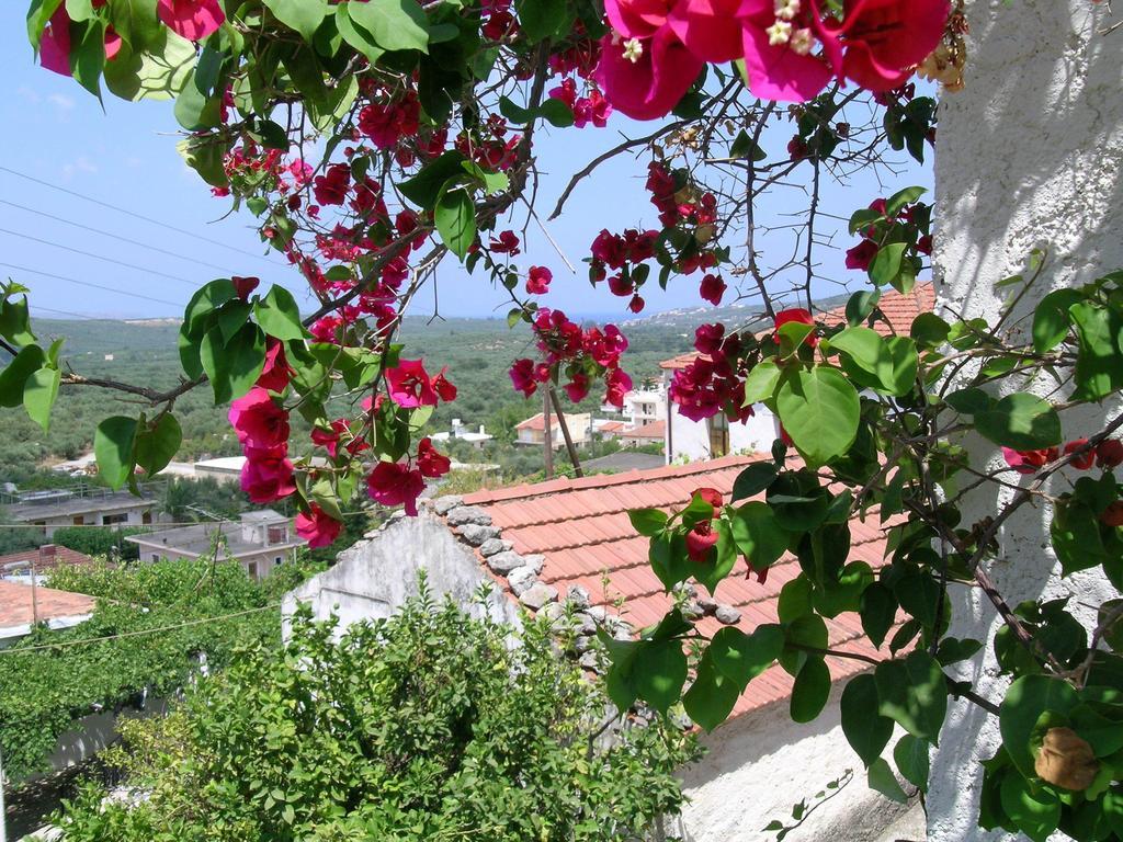 Fenareti Village House Makhairoi Exterior photo